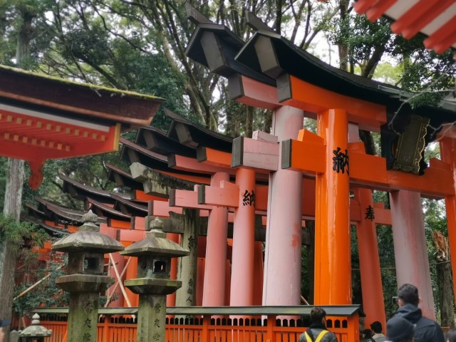 D3: 伏見稻荷大社 | 我嘅初馬, 名古屋女子馬拉松 | 旅遊 露營 跑山 跑步 運動 水上活動 | Hidy Chan | hidychan.com