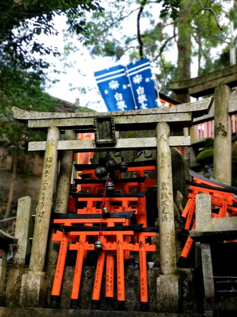 D3: 伏見稻荷大社 | 我嘅初馬, 名古屋女子馬拉松 | 旅遊 露營 跑山 跑步 運動 水上活動 | Hidy Chan | hidychan.com