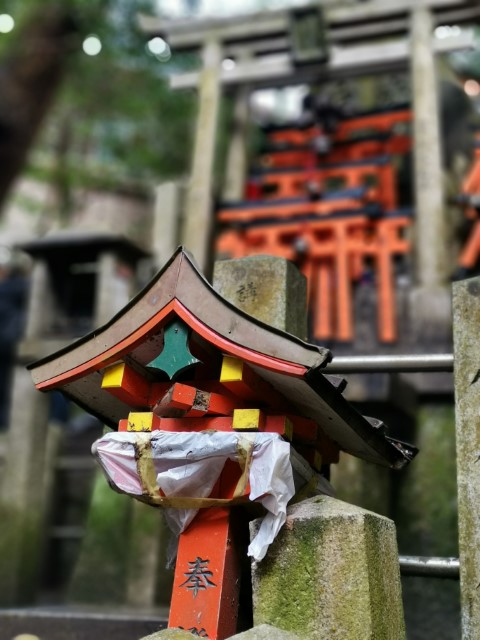 D3: 伏見稻荷大社 | 我嘅初馬, 名古屋女子馬拉松 | 旅遊 露營 跑山 跑步 運動 水上活動 | Hidy Chan | hidychan.com