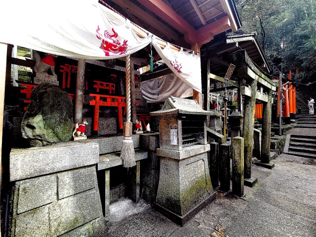 D3: 伏見稻荷大社 | 我嘅初馬, 名古屋女子馬拉松 | 旅遊 露營 跑山 跑步 運動 水上活動 | Hidy Chan | hidychan.com