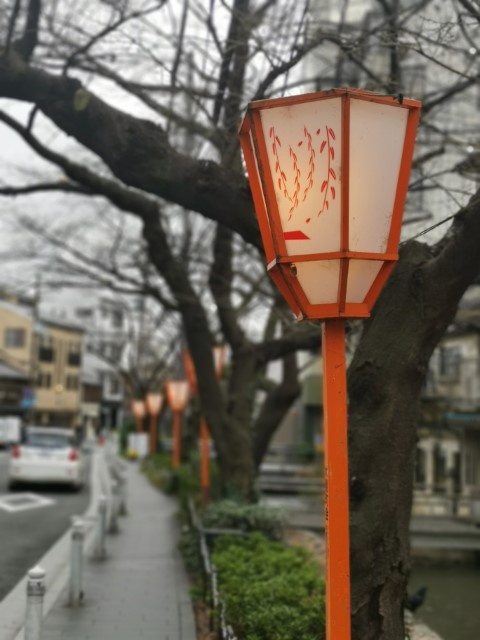 D3: 八坂神社 | 我嘅初馬, 名古屋女子馬拉松 | 旅遊 露營 跑山 跑步 運動 水上活動 | Hidy Chan | hidychan.com