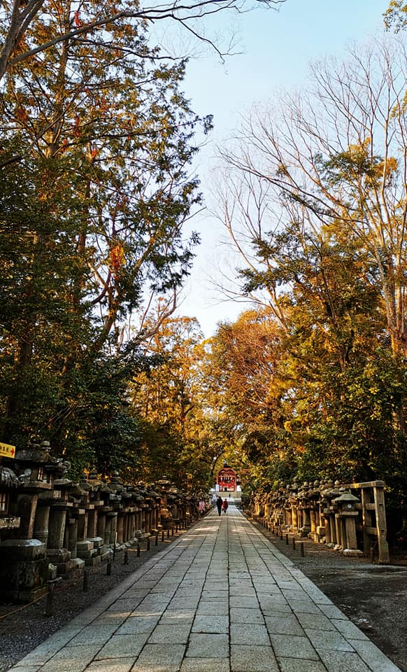 D4: 八幡 | 我嘅初馬, 名古屋女子馬拉松 | 旅遊 露營 跑山 跑步 運動 水上活動 | Hidy Chan | hidychan.com