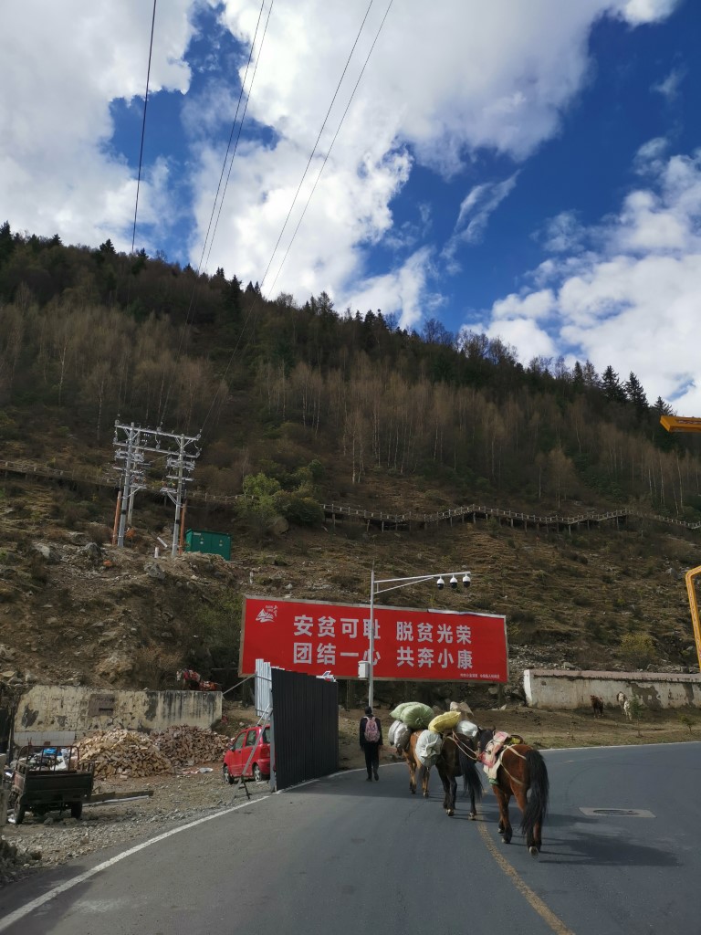 D2: 日隆鎮>出發 | 四川四姑娘山 | 旅遊 露營 跑山 跑步 運動 水上活動 | Hidy Chan | hidychan.com