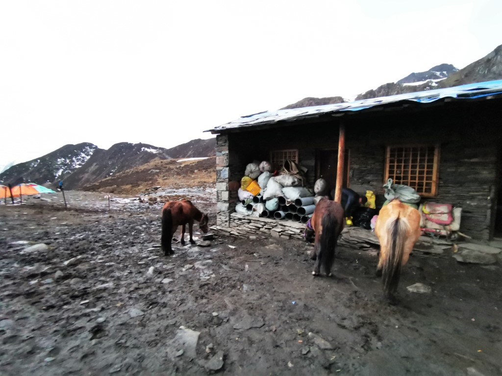 D2: 大峰基地 | 四川四姑娘山 | 旅遊 露營 跑山 跑步 運動 水上活動 | Hidy Chan | hidychan.com