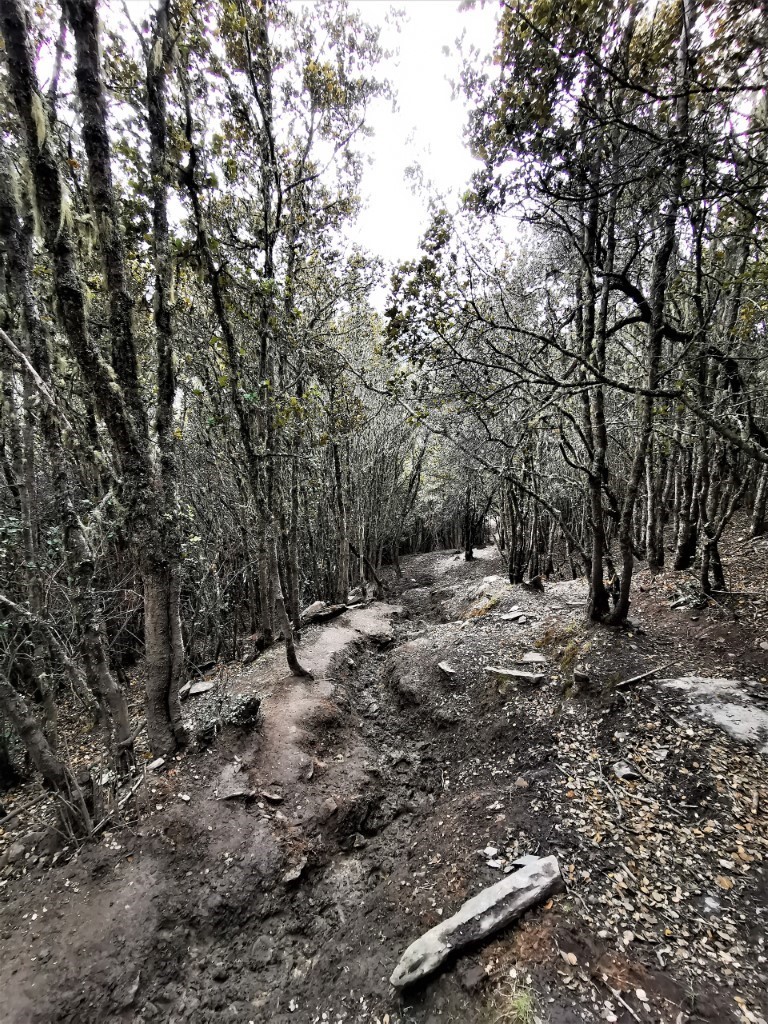 D4: 落山 | 四川四姑娘山 | 旅遊 露營 跑山 跑步 運動 水上活動 | Hidy Chan | hidychan.com