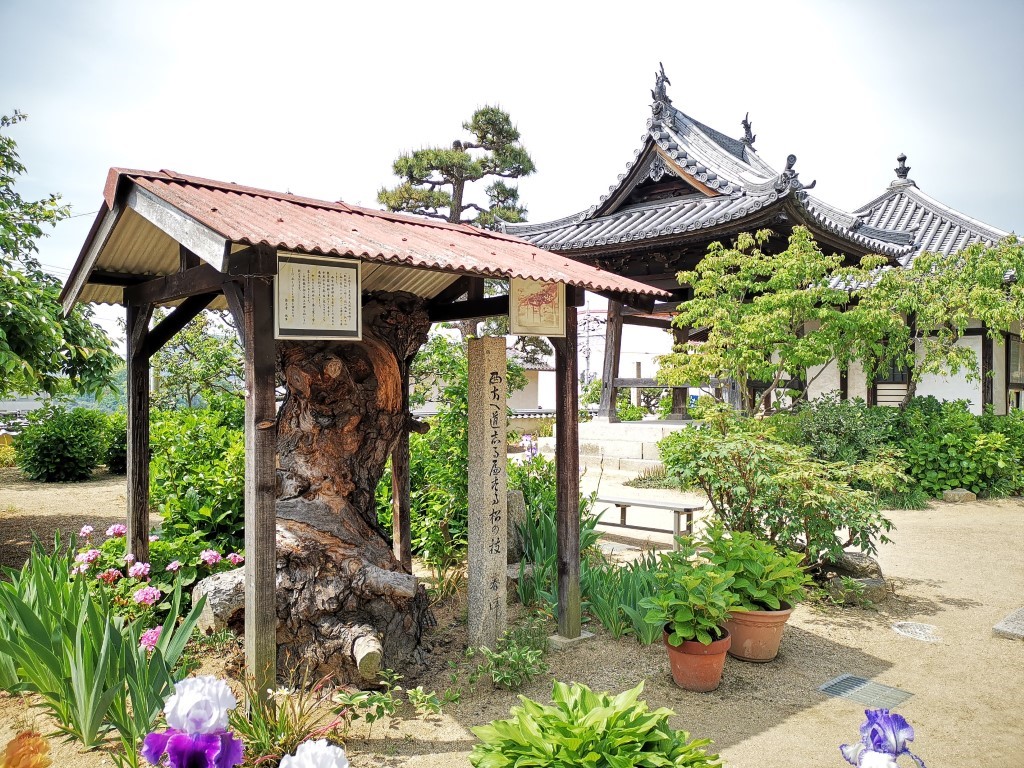 古寺巡礼 - 古寺め | 廣島踩單車露吓營先 | 旅遊 露營 跑山 跑步 運動 水上活動 | Hidy Chan | hidychan.com