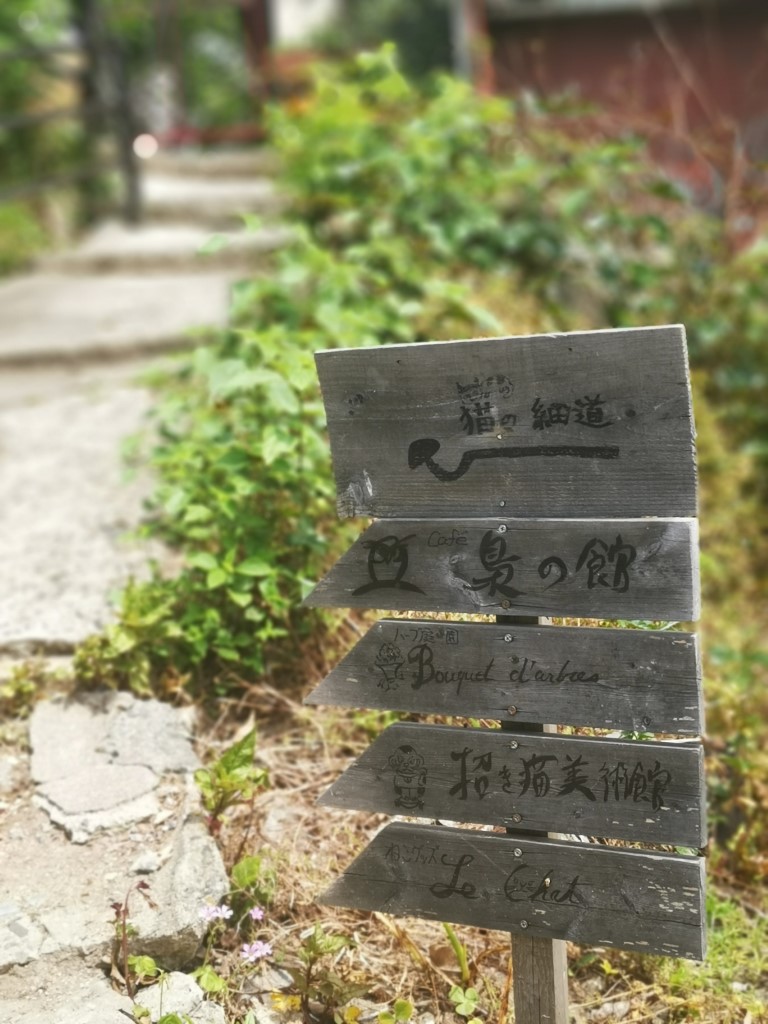 古寺巡礼 - 古寺め | 廣島踩單車露吓營先 | 旅遊 露營 跑山 跑步 運動 水上活動 | Hidy Chan | hidychan.com