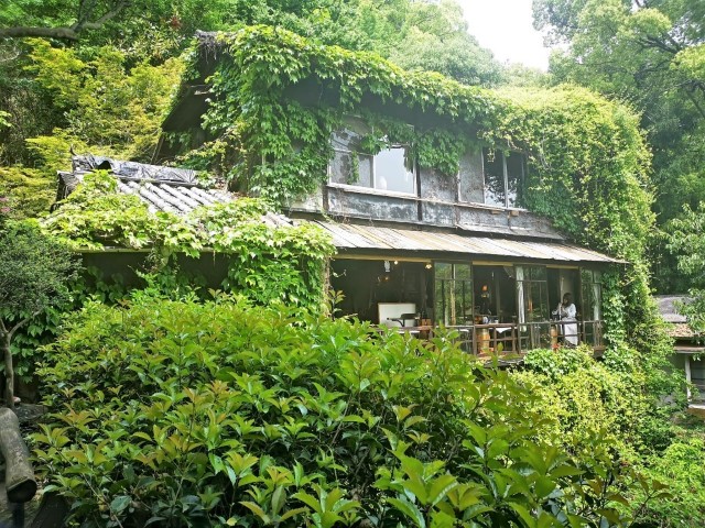 古寺巡礼 - 古寺め | 廣島踩單車露吓營先 | 旅遊 露營 跑山 跑步 運動 水上活動 | Hidy Chan | hidychan.com