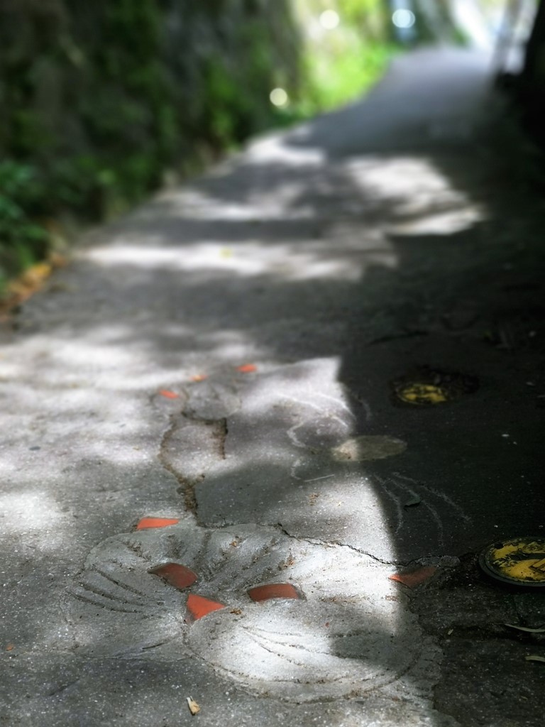 古寺巡礼 - 古寺め | 廣島踩單車露吓營先 | 旅遊 露營 跑山 跑步 運動 水上活動 | Hidy Chan | hidychan.com