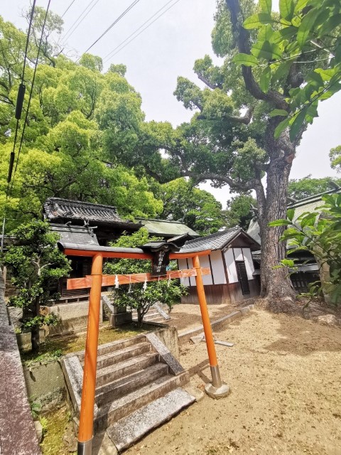 古寺巡礼 - 古寺め | 廣島踩單車露吓營先 | 旅遊 露營 跑山 跑步 運動 水上活動 | Hidy Chan | hidychan.com