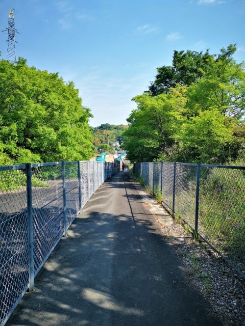 向島攞單車 | 廣島踩單車露吓營先 | 旅遊 露營 跑山 跑步 運動 水上活動 | Hidy Chan | hidychan.com