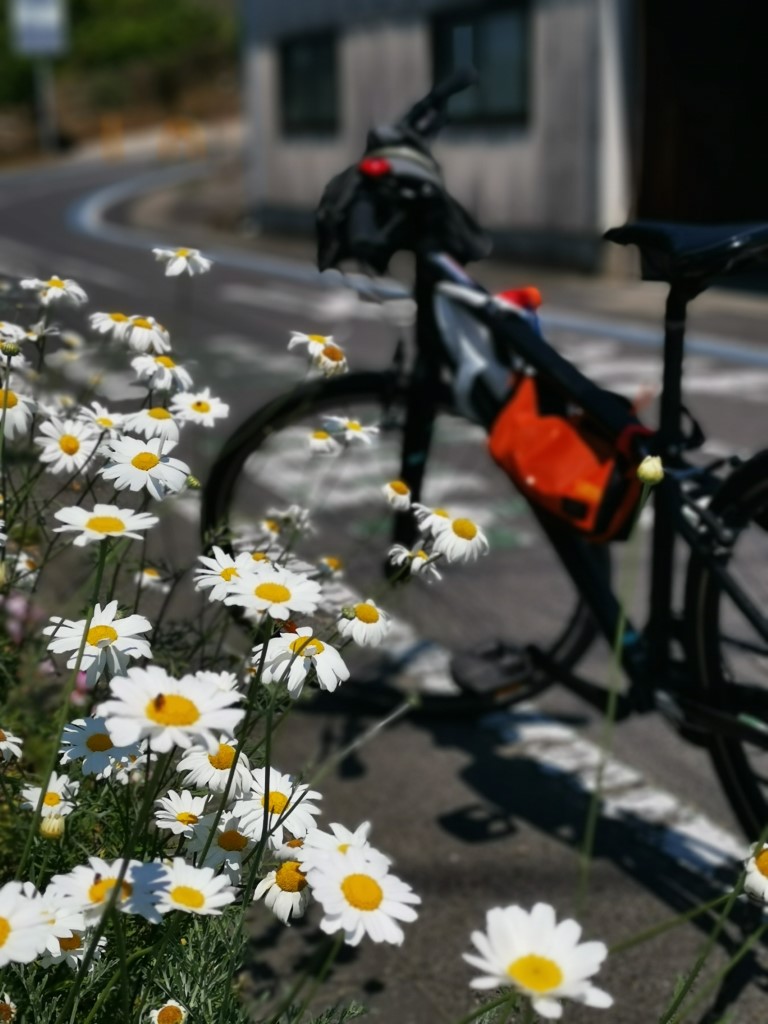 生口島 (單車) | 廣島踩單車露吓營先 | 旅遊 露營 跑山 跑步 運動 水上活動 | Hidy Chan | hidychan.com