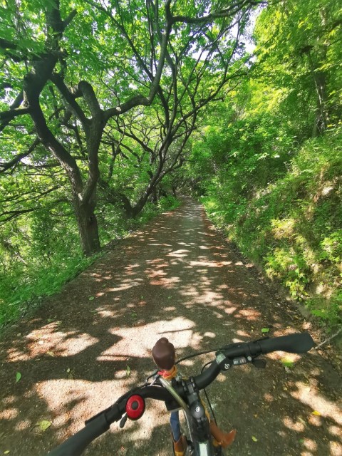 伯方島 | 廣島踩單車露吓營先 | 旅遊 露營 跑山 跑步 運動 水上活動 | Hidy Chan | hidychan.com