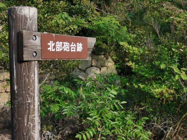 大久野島 | 廣島踩單車露吓營先 | 旅遊 露營 跑山 跑步 運動 水上活動 | Hidy Chan | hidychan.com