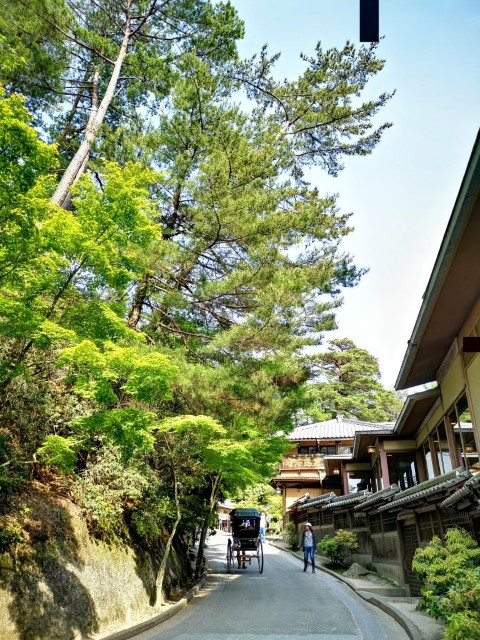 宮島 | 廣島踩單車露吓營先 | 旅遊 露營 跑山 跑步 運動 水上活動 | Hidy Chan | hidychan.com