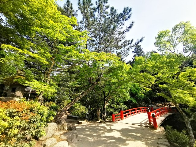 宮島 | 廣島踩單車露吓營先 | 旅遊 露營 跑山 跑步 運動 水上活動 | Hidy Chan | hidychan.com