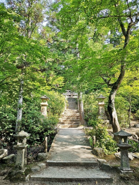 宮島 | 廣島踩單車露吓營先 | 旅遊 露營 跑山 跑步 運動 水上活動 | Hidy Chan | hidychan.com