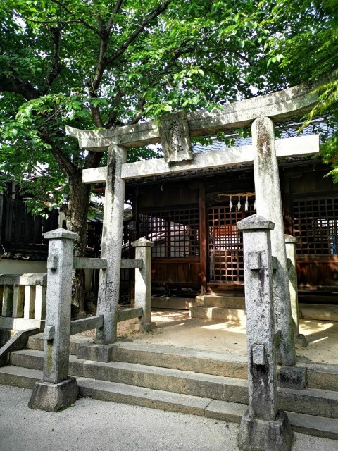 宮島 | 廣島踩單車露吓營先 | 旅遊 露營 跑山 跑步 運動 水上活動 | Hidy Chan | hidychan.com