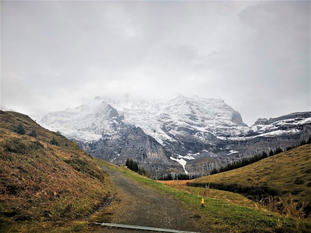 D3: Lauterbrunnen > Wengen > Kleine Scheidegg | 瑞士好好露 | 旅遊 露營 跑山 跑步 運動 水上活動 | Hidy Chan | hidychan.com