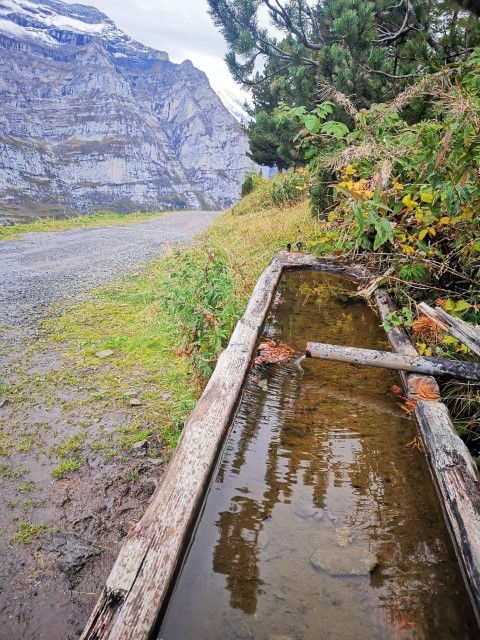 D3: Lauterbrunnen > Wengen > Kleine Scheidegg | 瑞士好好露 | 旅遊 露營 跑山 跑步 運動 水上活動 | Hidy Chan | hidychan.com