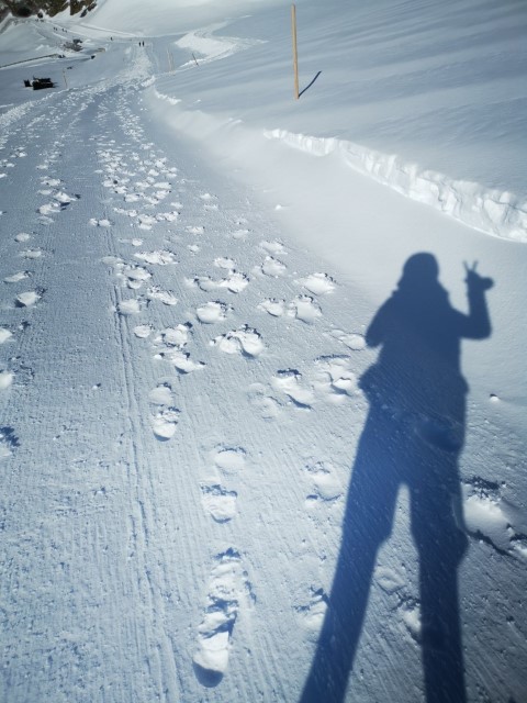 D4: Jungfraujoch | 瑞士好好露 | 旅遊 露營 跑山 跑步 運動 水上活動 | Hidy Chan | hidychan.com