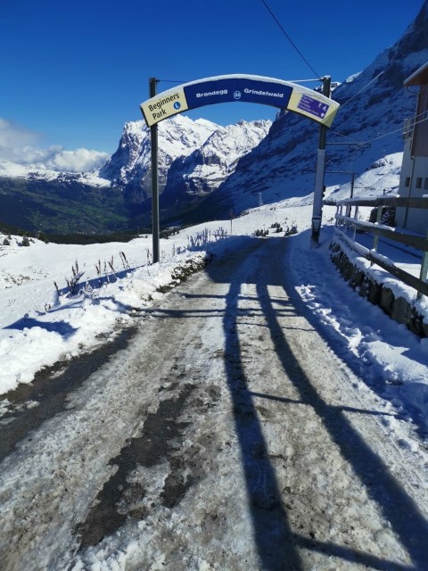 D4: Kleine Scheidegg > Grindelwald | 瑞士好好露 | 旅遊 露營 跑山 跑步 運動 水上活動 | Hidy Chan | hidychan.com