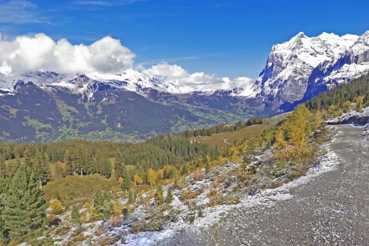 D4: Kleine Scheidegg > Grindelwald | 瑞士好好露 | 旅遊 露營 跑山 跑步 運動 水上活動 | Hidy Chan | hidychan.com