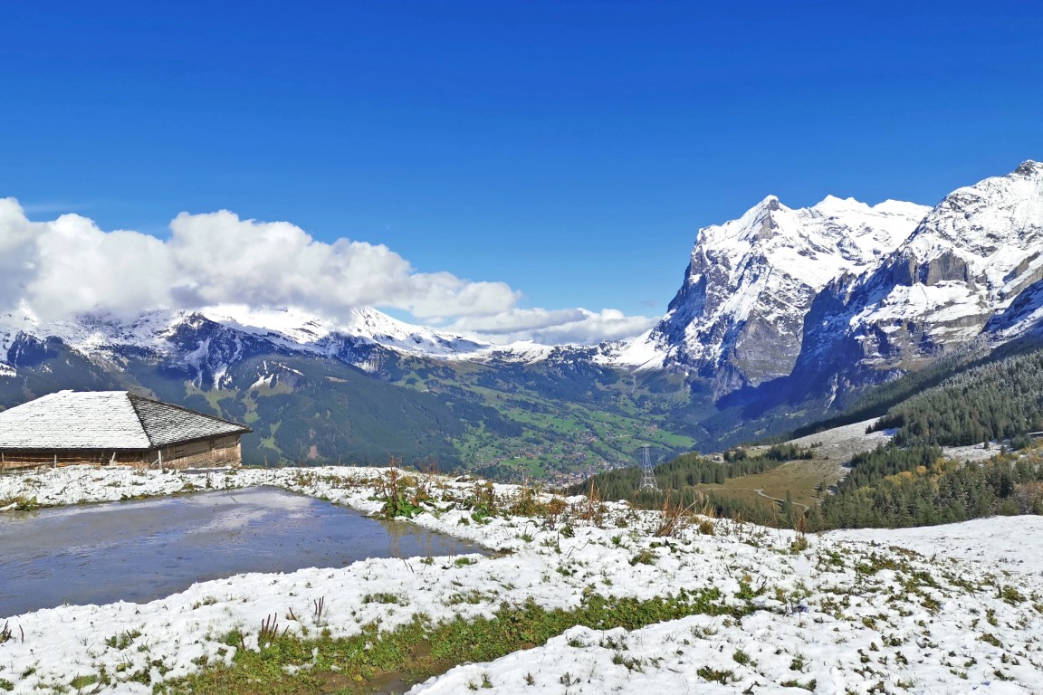 D4: Kleine Scheidegg > Grindelwald | 瑞士好好露 | 旅遊 露營 跑山 跑步 運動 水上活動 | Hidy Chan | hidychan.com