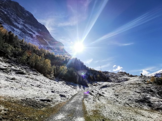 D4: Kleine Scheidegg > Grindelwald | 瑞士好好露 | 旅遊 露營 跑山 跑步 運動 水上活動 | Hidy Chan | hidychan.com