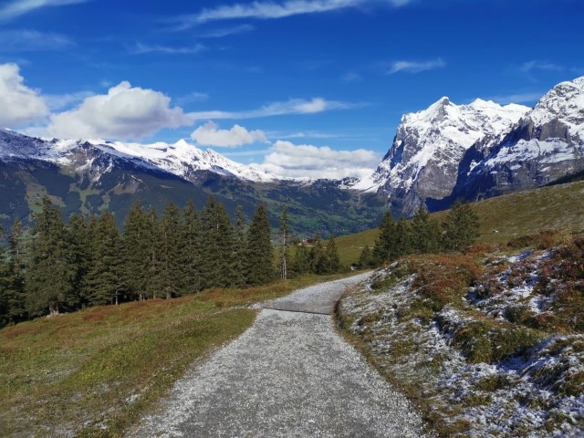 D4: Kleine Scheidegg > Grindelwald | 瑞士好好露 | 旅遊 露營 跑山 跑步 運動 水上活動 | Hidy Chan | hidychan.com