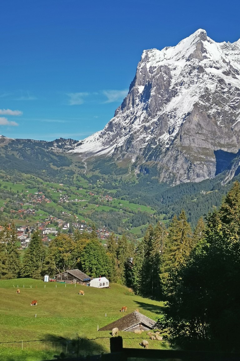 D4: Kleine Scheidegg > Grindelwald | 瑞士好好露 | 旅遊 露營 跑山 跑步 運動 水上活動 | Hidy Chan | hidychan.com