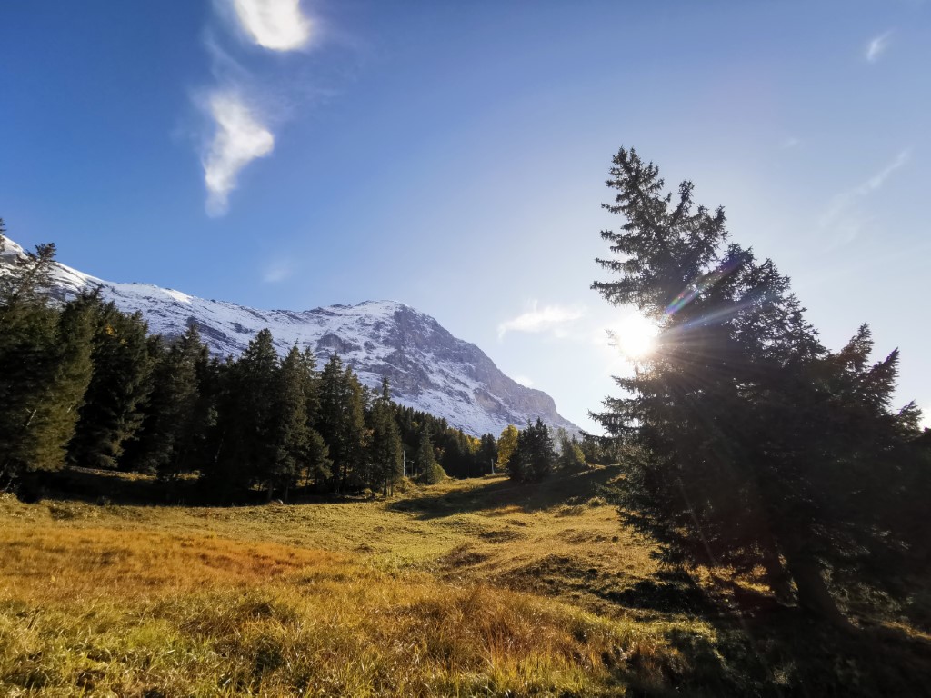 D4: Kleine Scheidegg > Grindelwald | 瑞士好好露 | 旅遊 露營 跑山 跑步 運動 水上活動 | Hidy Chan | hidychan.com