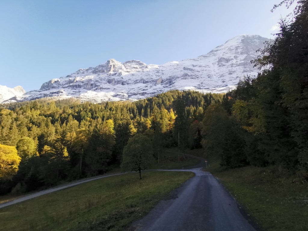 D4: Kleine Scheidegg > Grindelwald | 瑞士好好露 | 旅遊 露營 跑山 跑步 運動 水上活動 | Hidy Chan | hidychan.com