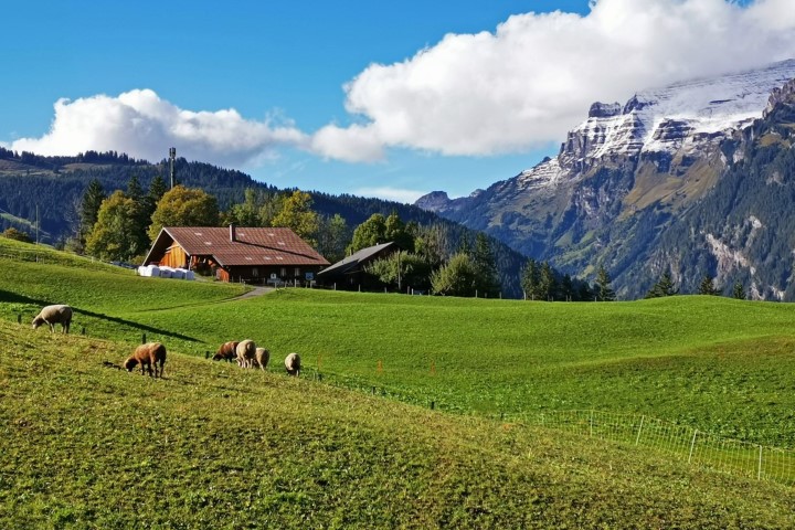 D4: Kleine Scheidegg > Grindelwald | 瑞士好好露 | 旅遊 露營 跑山 跑步 運動 水上活動 | Hidy Chan | hidychan.com