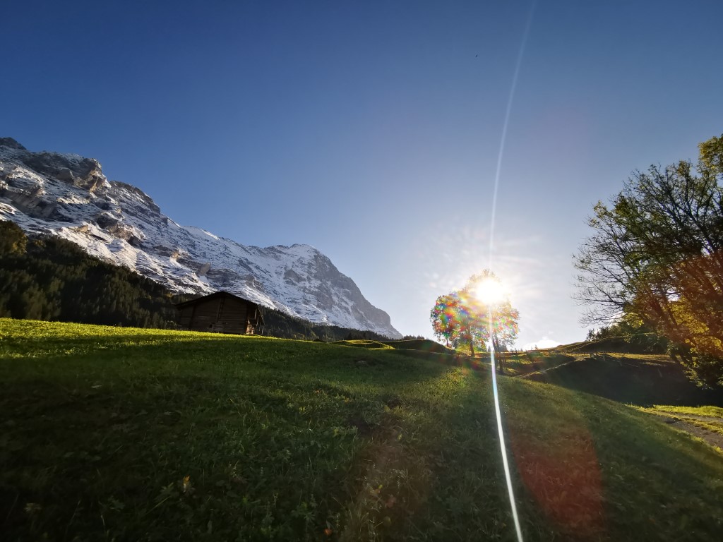 D4: Kleine Scheidegg > Grindelwald | 瑞士好好露 | 旅遊 露營 跑山 跑步 運動 水上活動 | Hidy Chan | hidychan.com