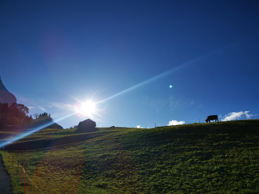 D4: Kleine Scheidegg > Grindelwald | 瑞士好好露 | 旅遊 露營 跑山 跑步 運動 水上活動 | Hidy Chan | hidychan.com