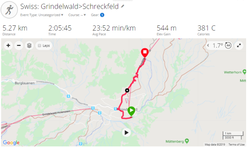 D5: Grindelwald > Bort | 瑞士好好露 | 旅遊 露營 跑山 跑步 運動 水上活動 | Hidy Chan | hidychan.com