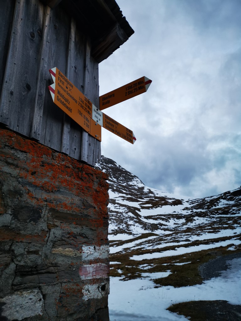 D6: Bachalpsee > Faulhorn | 瑞士好好露 | 旅遊 露營 跑山 跑步 運動 水上活動 | Hidy Chan | hidychan.com