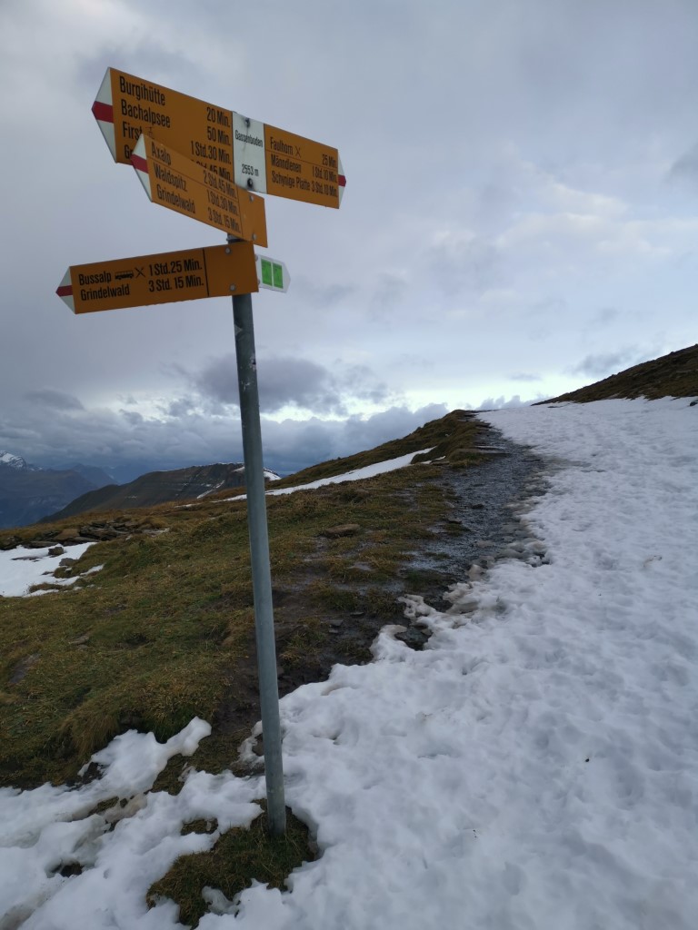 D6: Bachalpsee > Faulhorn | 瑞士好好露 | 旅遊 露營 跑山 跑步 運動 水上活動 | Hidy Chan | hidychan.com