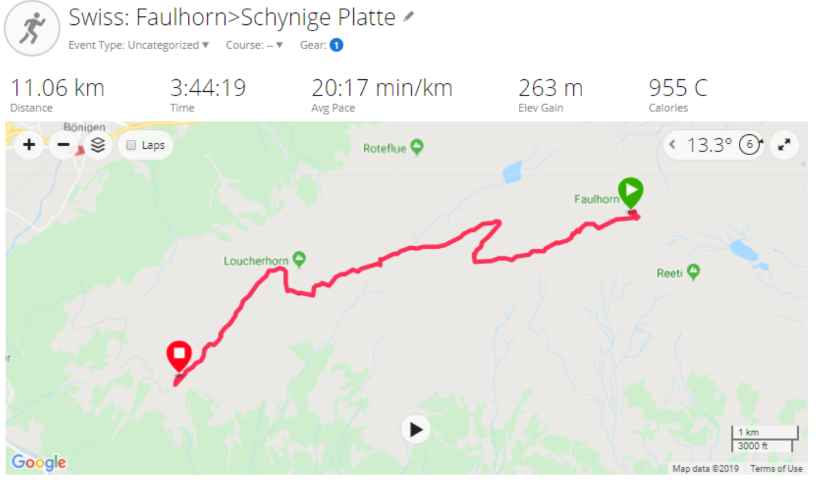 D6: Faulhorn > Schynige Platte > Interlaken | 瑞士好好露 | 旅遊 露營 跑山 跑步 運動 水上活動 | Hidy Chan | hidychan.com