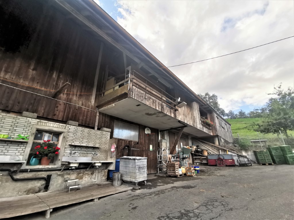 D7: Campingplatz Gerbe | 瑞士好好露 | 旅遊 露營 跑山 跑步 運動 水上活動 | Hidy Chan | hidychan.com