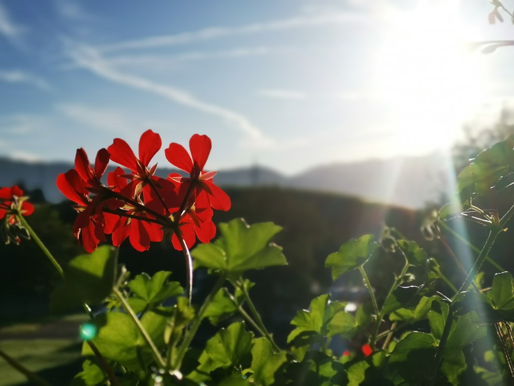 D8: Good morning Luzern | 瑞士好好露 | 旅遊 露營 跑山 跑步 運動 水上活動 | Hidy Chan | hidychan.com