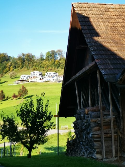 D8: Good morning Luzern | 瑞士好好露 | 旅遊 露營 跑山 跑步 運動 水上活動 | Hidy Chan | hidychan.com