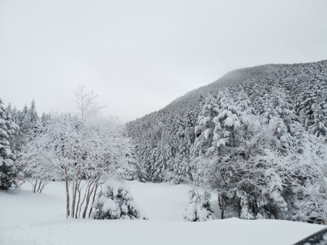 D3: 行者小屋>赤岳鉱泉 | 雪山•滑雪•露營•瘋狂玩盡日本 | 旅遊 露營 跑山 跑步 運動 水上活動 | Hidy Chan | hidychan.com