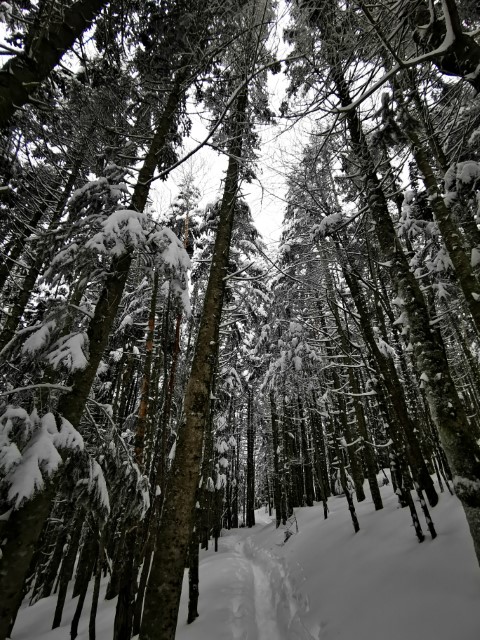 D3: 行者小屋>赤岳鉱泉 | 雪山•滑雪•露營•瘋狂玩盡日本 | 旅遊 露營 跑山 跑步 運動 水上活動 | Hidy Chan | hidychan.com