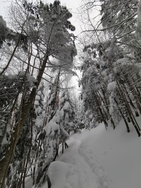 D4: 赤岳攻頂失敗 | 雪山•滑雪•露營•瘋狂玩盡日本 | 旅遊 露營 跑山 跑步 運動 水上活動 | Hidy Chan | hidychan.com