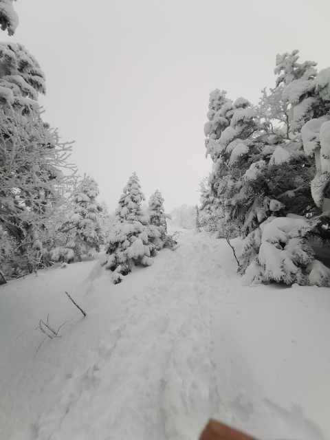 D4: 赤岳攻頂失敗 | 雪山•滑雪•露營•瘋狂玩盡日本 | 旅遊 露營 跑山 跑步 運動 水上活動 | Hidy Chan | hidychan.com