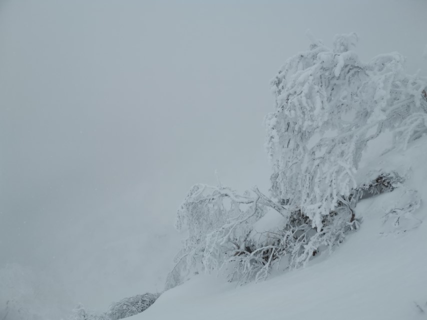 D4: 赤岳攻頂失敗 | 雪山•滑雪•露營•瘋狂玩盡日本 | 旅遊 露營 跑山 跑步 運動 水上活動 | Hidy Chan | hidychan.com