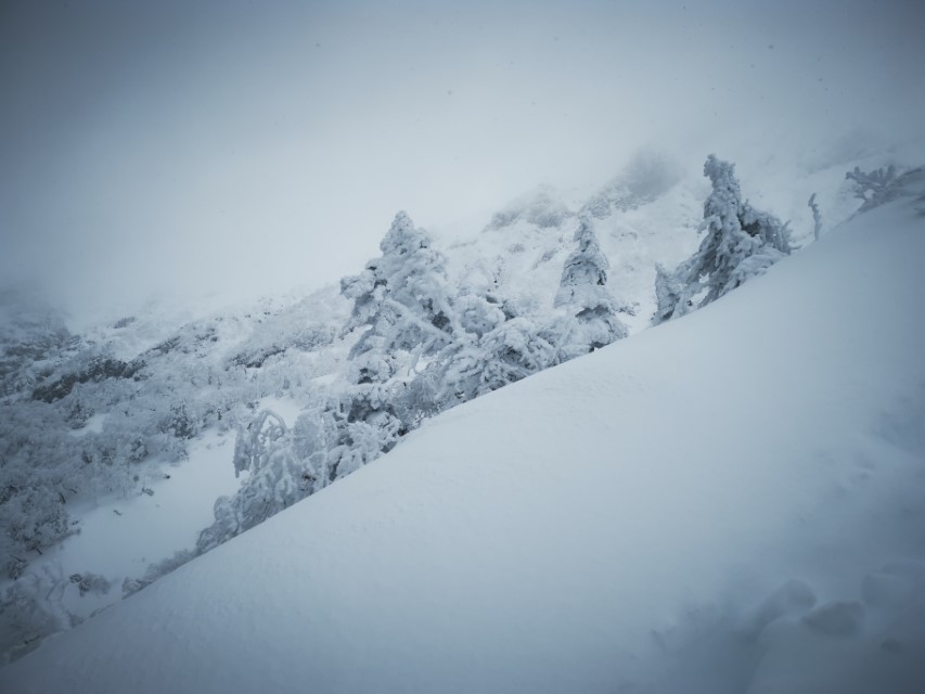 D4: 赤岳攻頂失敗 | 雪山•滑雪•露營•瘋狂玩盡日本 | 旅遊 露營 跑山 跑步 運動 水上活動 | Hidy Chan | hidychan.com