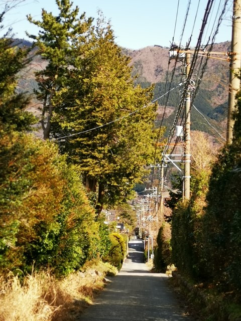 D10: 強羅 | 雪山•滑雪•露營•瘋狂玩盡日本 | 旅遊 露營 跑山 跑步 運動 水上活動 | Hidy Chan | hidychan.com